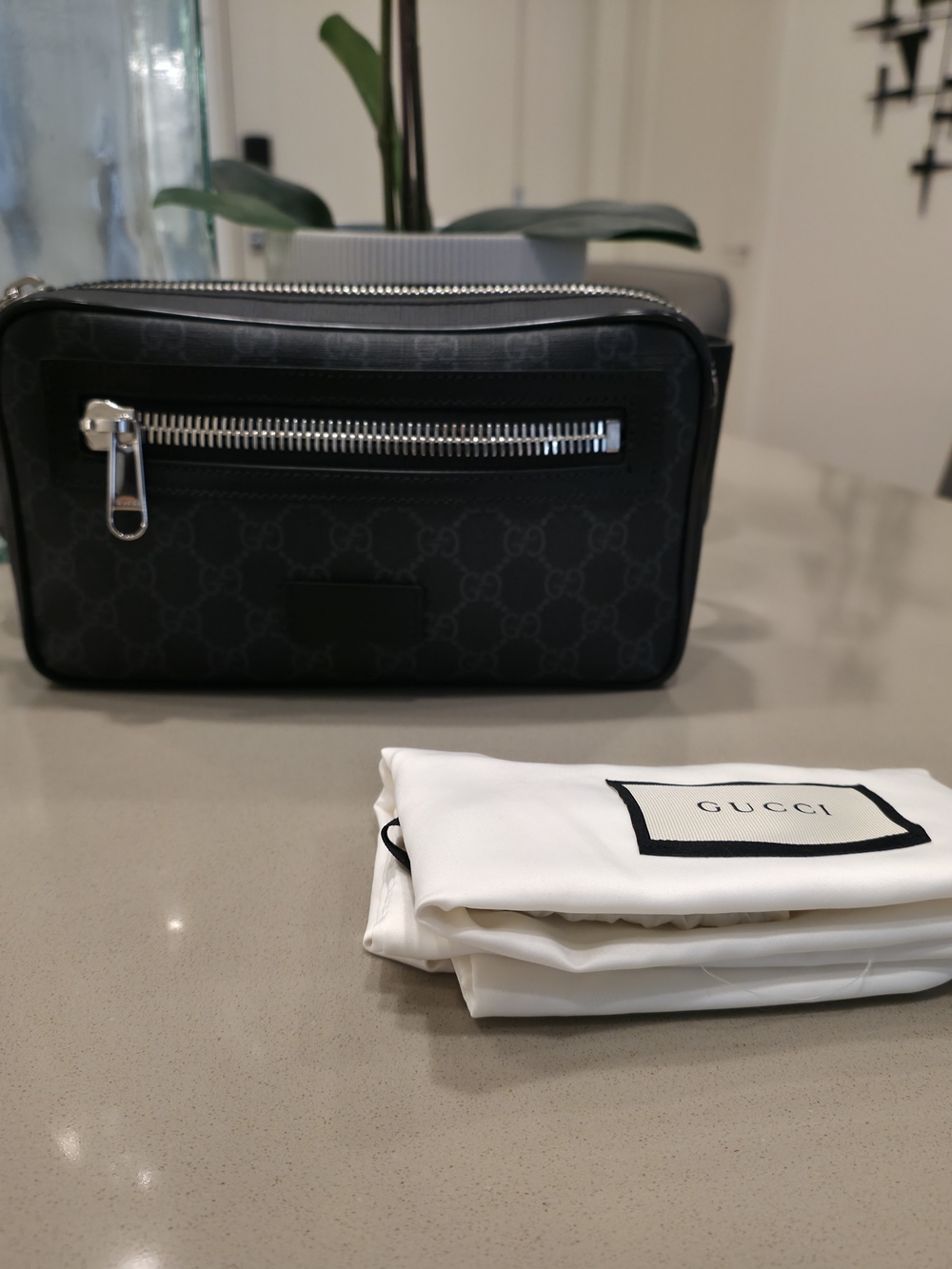Gucci GG Supreme Zip-Up Small Belt Bag - Picture 1 of 5